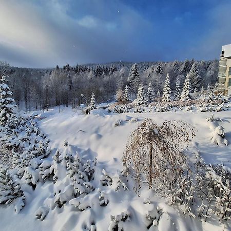 Apartamenty Biala Sowa Czarna Gora Siena Buitenkant foto