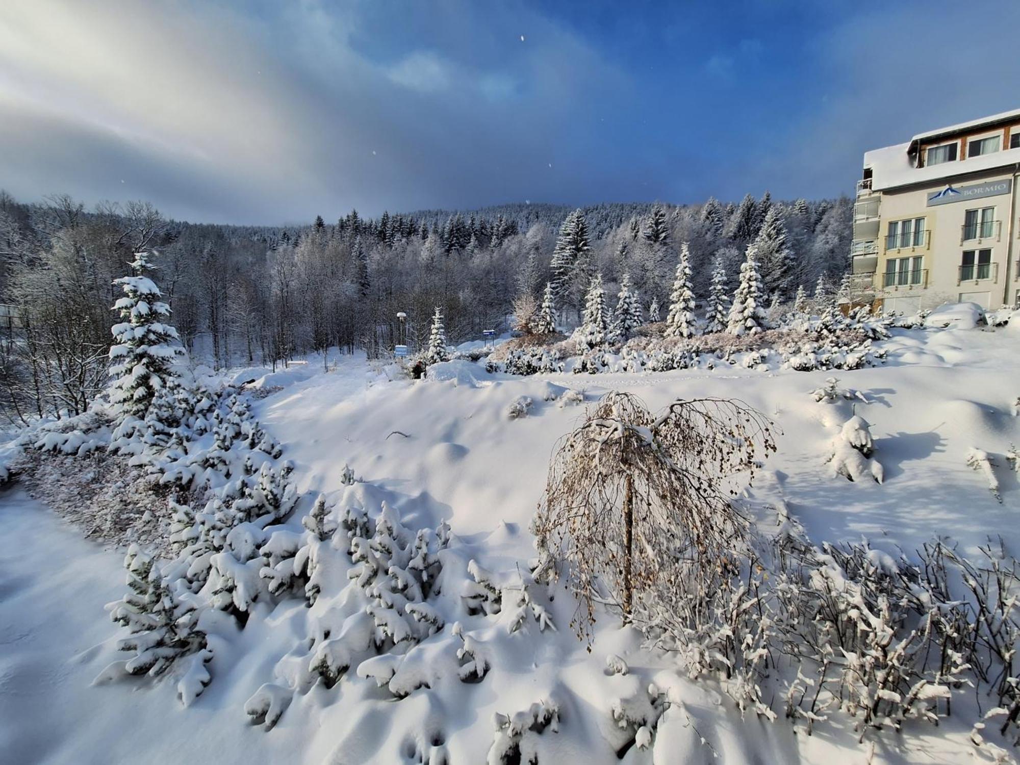 Apartamenty Biala Sowa Czarna Gora Siena Buitenkant foto